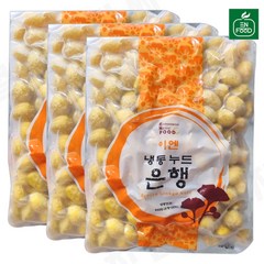 [31마켓] 이엔푸드 냉동 깐은행 500g x 3개