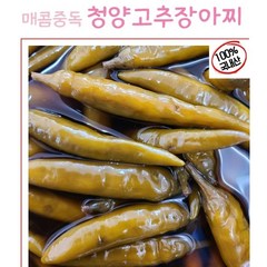 정지현식품 매콤중독 청양고추 장아찌 1KG, 1개