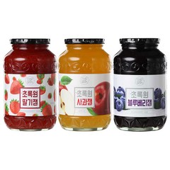 초록원 블루베리잼 +딸기잼 +사과잼 (3KG), 3kg