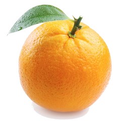 희망푸드 고당도 오렌지 대과, 20개, 240g