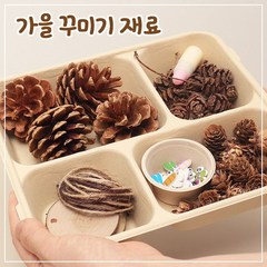 diy 방과후만들기 가을 꾸미기 재료(솔방울 외)