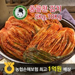 J&B 옹골찬김치(고추-국산)>포기김치 배추김치 국내산김치 깔끔한 맛, 10kg, 1box