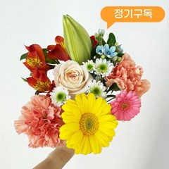 솜리플라워 10월 가을 꽃 정기 구독 생화 소형 S 택배 배달 만원의행복꽃 꽃구독서비스 꽃배달싼곳, 1개
