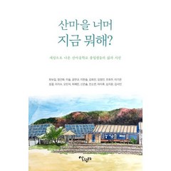 산마을 너머 지금 뭐해? : 세상으로 나온 산마을학교 졸업생들의 삶과 시선, 최보길 외 17인 저, 살림터