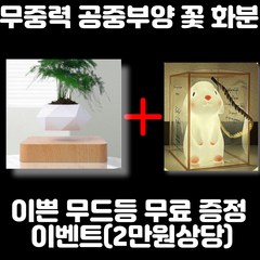 무중력화분 분재 미니 인테리어 선물 특이한 신기한 집들이 자기부상 공중부양 사무실 식당 개업, 무중력 화분