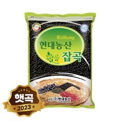 현대농산 국산 쥐눈이콩 약콩 서목태 2kg, 1개