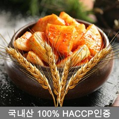 빛고운김치보리깍두기, 5KG, 1개, 5kg