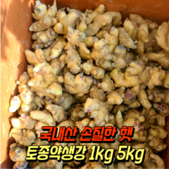 23년 수확 최상급 국산 토종 약생강 손질 흙 햇 생강 1kg 신선 햇생강 흙생강 특상품 국내산흙생강 햇생강국산 국산생 생강 ginger 진저