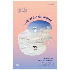 [도서] [알에이치코리아] 우리는 매 순간 빛을 여행하고 그림 그리는 물리학자가 바라본 일, 상세 설명 참조, 상세 설명 참조