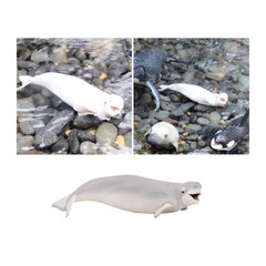 흰돌고래 벨루가 피규어 바다동물모형 3살장난감 세트