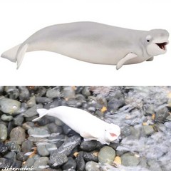 파포 벨루가 흰돌고래 어린이집장난감 동물장난감