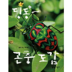 딩동~ 곤충 도감:, 지성사, 딩동 도감 시리즈