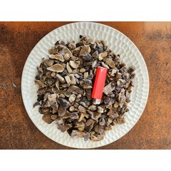 가하푸드영농조합 자연산 냉동능이버섯, 1개, 파지 1kg