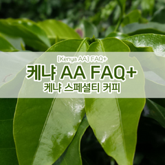 케냐 AA FAQ+ 직수입 생두, 1KG, 1kg, 1개