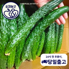 ( 승재농산 ) 국내산 가시오이 청오이 오이 못난이오이 상등급 3kg 10kg내외, 상등급10kg내외, 1개