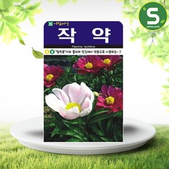 아람종묘 작약 씨앗 100립, 1세트