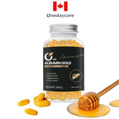 캐나다 원데이코어 프리미엄 알부민 골드 1900mg 200캡슐 albumin영양제, 2개, 200정