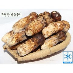 자연산 냉동송이 송이버섯 백두산송이버섯 햇송이 최고급 식자재 500g 명절선물, 1개, 가정용/파손품 500g