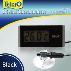 테트라 디지털 온도계 (블랙), 1개