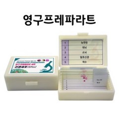 뇌구조 미세관찰용 현미경표본 5종 세트 중등교구 중학교 과학실 과학세트 글라스