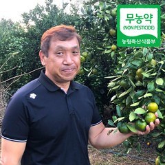 (자연마을) 제주 무농약 노지감귤 밀감 5kg, 무농약 밀감 5kg 2L 가정과