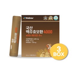 웰스터 국산 맥주효모환 4000 4.2g x 30포 x 3박스, 3개