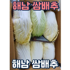 알뜰농장 달콤한 강원도 고랭지 쌈배추 신선도 최상 3통/6통/12통 or 실속형12~16통, 1개, 쌈배추 실속형(12~16통, 작은포기)