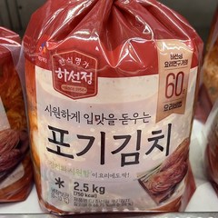 씨제이 하선정 포기김치 2.5kg, 아이스팩 포장, 1개