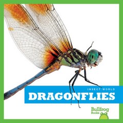 [AR 퀴즈 지원도서 0점대] Insect World Series 6종, Dragonflies