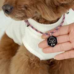 일러스트 써지컬 강아지 이름표 인식표 목걸이, 일체형목걸이, 5.스타스트라이프, 육각(소)