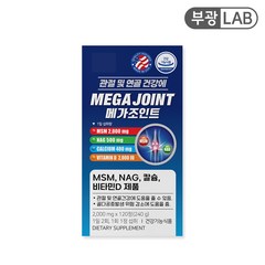 부광LAB 메가조인트 2개월분 MSM 관절 연골 영양제 NAG 글루코사민 부광메디카, 1개, 120정