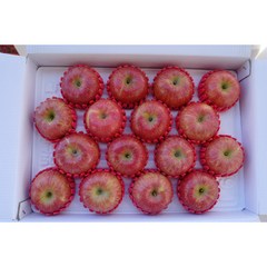 주왕산털보네 하늘사과, 털보네 명품선물세트 5kg 13~17과, 4kg