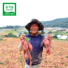 [해야농장] 무안 유기농 햇 고구마 5kg (으뜸이), 1개