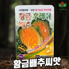 황금배추 씨앗 후레쉬 배추씨앗 (2023), 1개