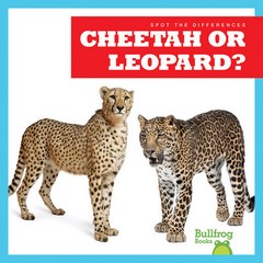 [AR 퀴즈 지원도서 0점대 1점대] Spot the Differences 7종, Cheetah or Leopard?