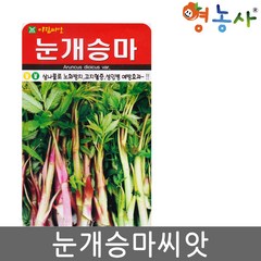 눈개승마 씨앗 500립 삼나물 종자 영농사, 1개