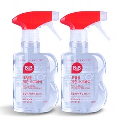 비앤비 무알콜 제균 소독스프레이 300ml, 2개