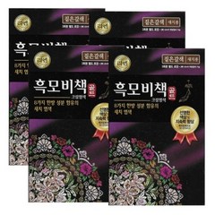 리엔 흑모비책 골드 짙은갈색 90g, 4개