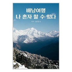 배낭여행 나 혼자 할 수 있다, 정천수 저, 하움출판사