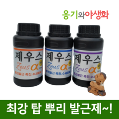 옹기와야생화 제우스알파 강력한 뿌리 발근제 수세회복 세력증강 액상영양제, 제우스 알파 250cc, 1개