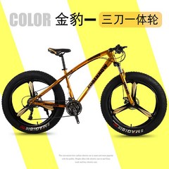 오프로드 광폭타이어 팻바이크 바퀴큰자전거 산악용 자전거 7단 화이트 MTB 20인치, 27단, 24인치, 골드(3개의 나이프 휠)