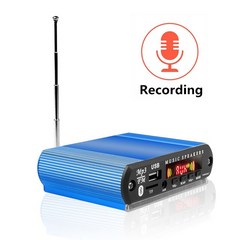 Kebidu 12V 무선 블루투스 MP3 플레이어 WMA 디코더 보드 자동차 라디오 녹음 기능 지원 USB/SD/FM 오디오 모듈, 다른, 세트