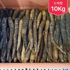 제주흙더덕 업소 및 도매형(대량판매) (특 상 중상 중) 10kg, (중) 10kg, 1개
