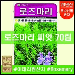 23년산 아람종묘 로즈마리 씨앗 70립- 이태리산 rosemary seeds 다년생허브, 1개