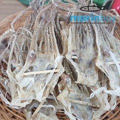 마린보이 국내산 못난이오징어(다리만) 500g 파지오징어 파품오징어, 1개