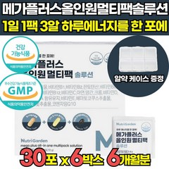 올인원 한팩 영양제 비타민 바이타민 vitamin 멀티팩 멀티 비타민 청소년 여성 남성 여자 남자 맨즈팩 우먼팩 비타민 비군 밀크씨슬추출물 루테인 코엔자임 Q10 알티지오메가3, 2.4g, 6개