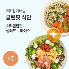 [포켓샐러드] 클린핏 2주 샐러드+라이스 식단 (24팩), 240g, 24팩