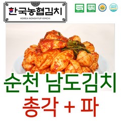 입점특가 한국농협김치 순천 남도 총각 + 파 김치 HACCP 국산, 1.총각김치3kg+파김치1kg