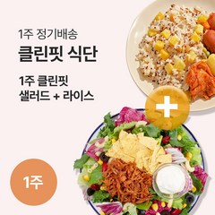 [포켓샐러드] 클린핏 1주 샐러드+라이스 식단 (12팩), 250g, 12