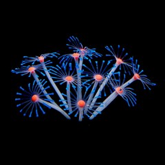 유리 수족관 장식 어항 어항 산호 식물 장식 빛나는 풍경, 파란색